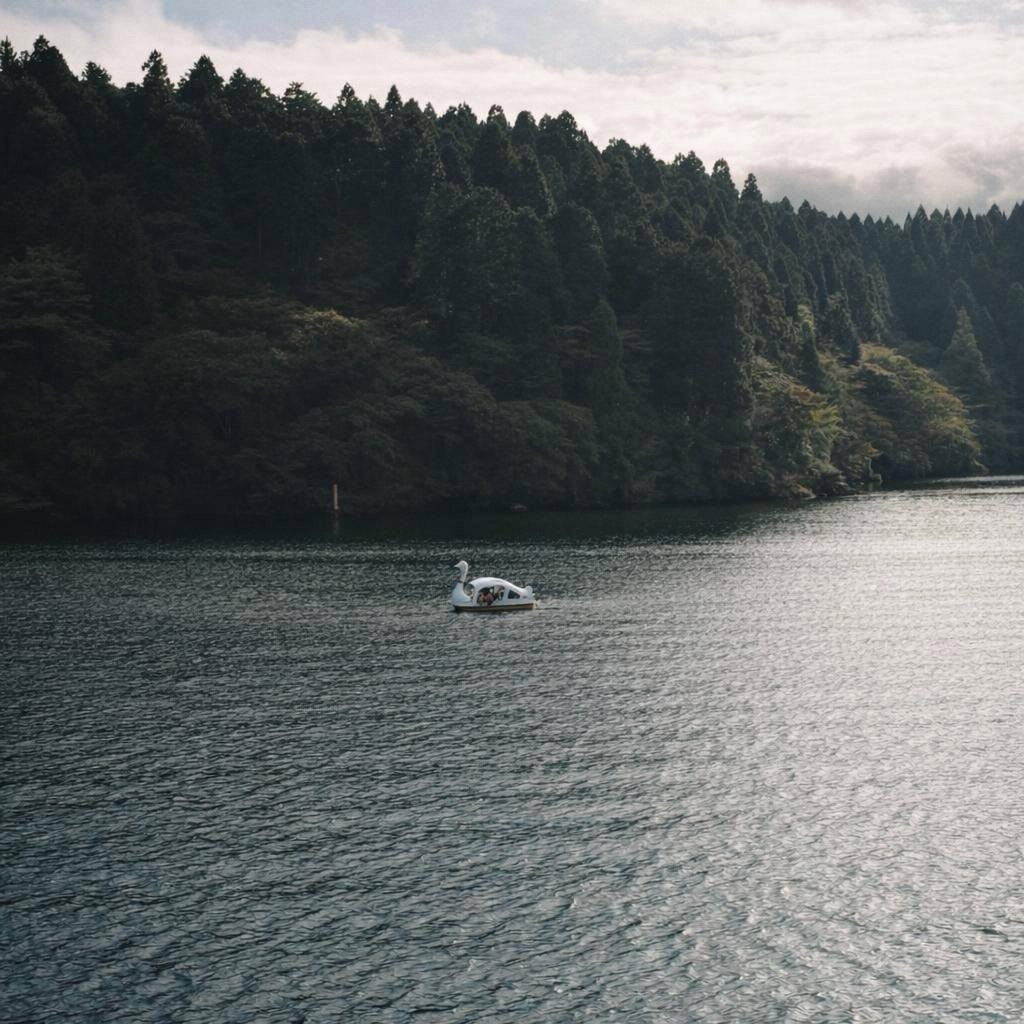 Frame 5 of 8 · CineD 50 · by Jolio