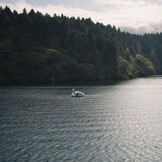Frame 5 of 8 · CineD 50 · by Jolio