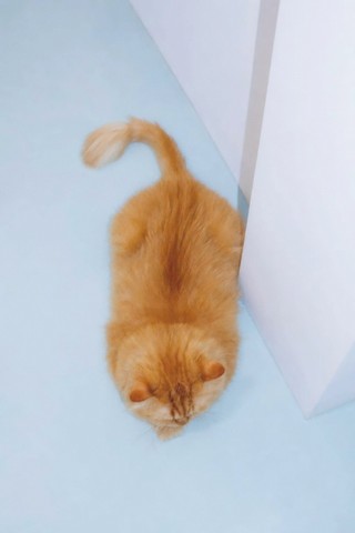 Frame 9 of 11 · Verdi 400 · by Jolio