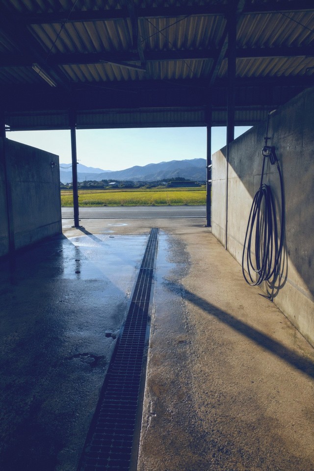 Cover frame · Clear Coat 200 · by KAIDOLAB
